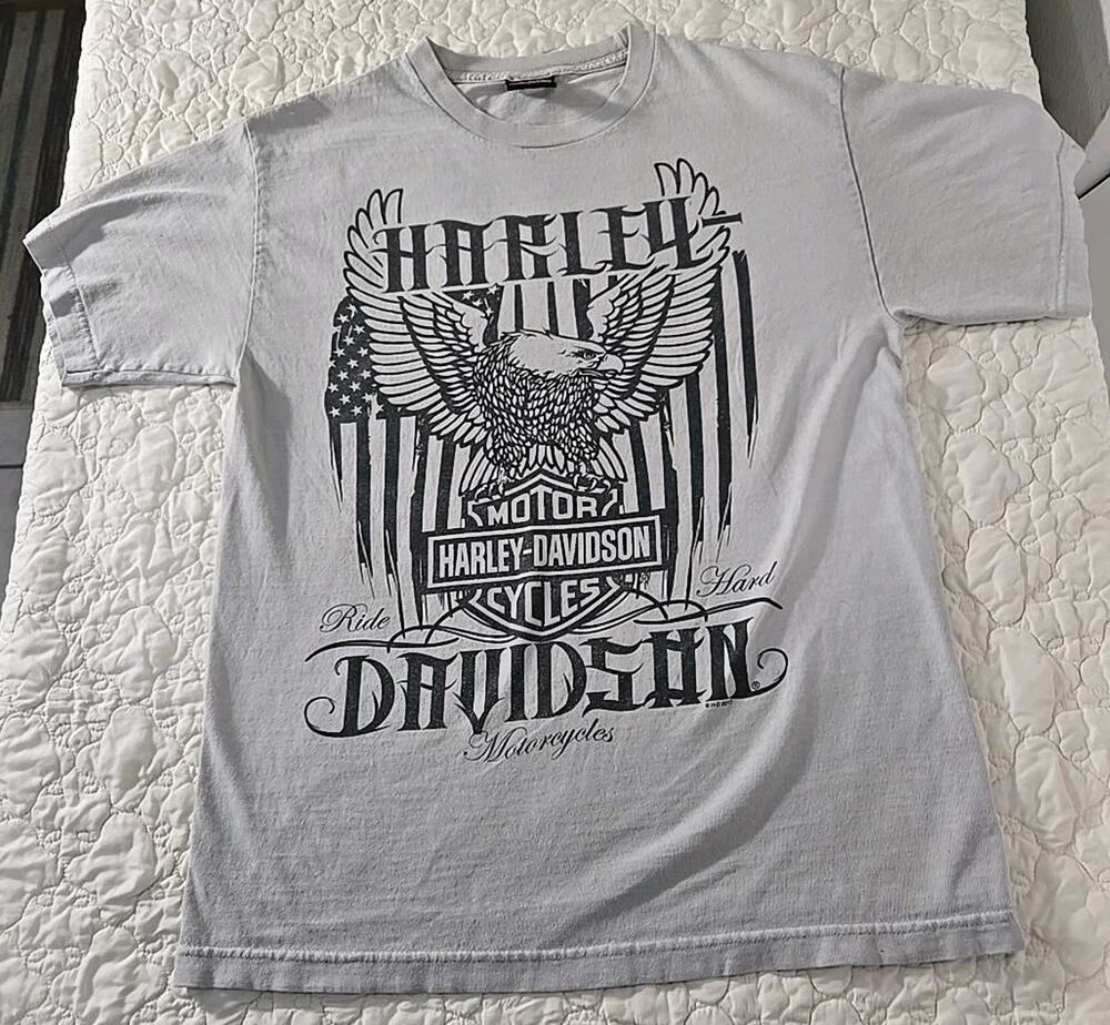 Harley Davidson Boston Graphic T-Shirt Eagle Motorcycle Gray Biker Tee #0257